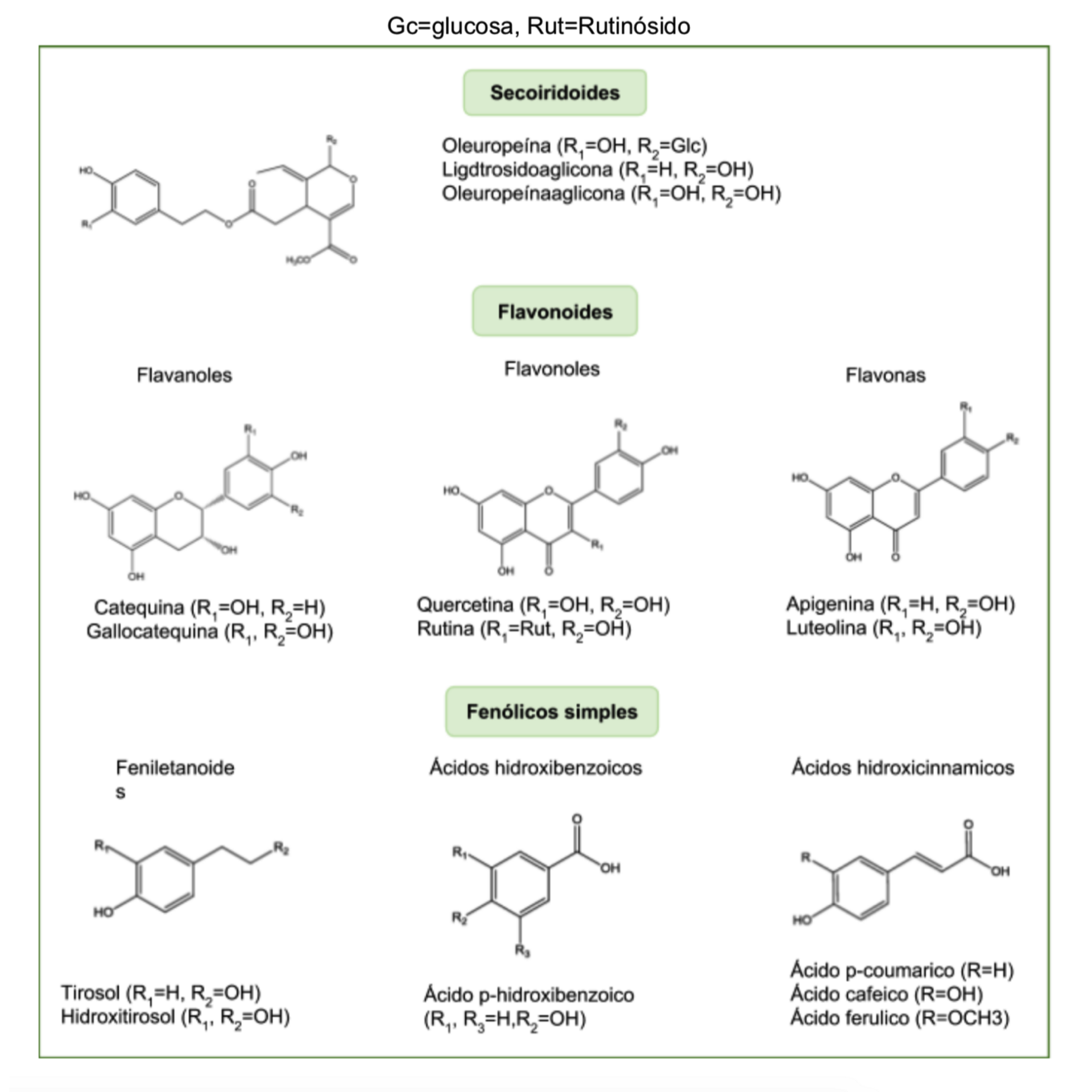 Ejemplos de compuestos fenólicos presentes en la hoja de olivo (38).