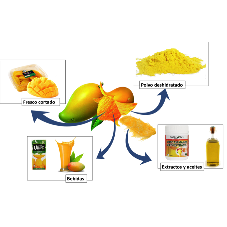 Productos de mango comercializados en el mercado.