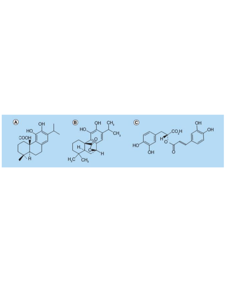 Figura 10.2 Estructura química de los tres compuestos principales presentes en el romero. (A) Ácido carnósico. (B) Carnosol. (C) Ácido rosmarínico.