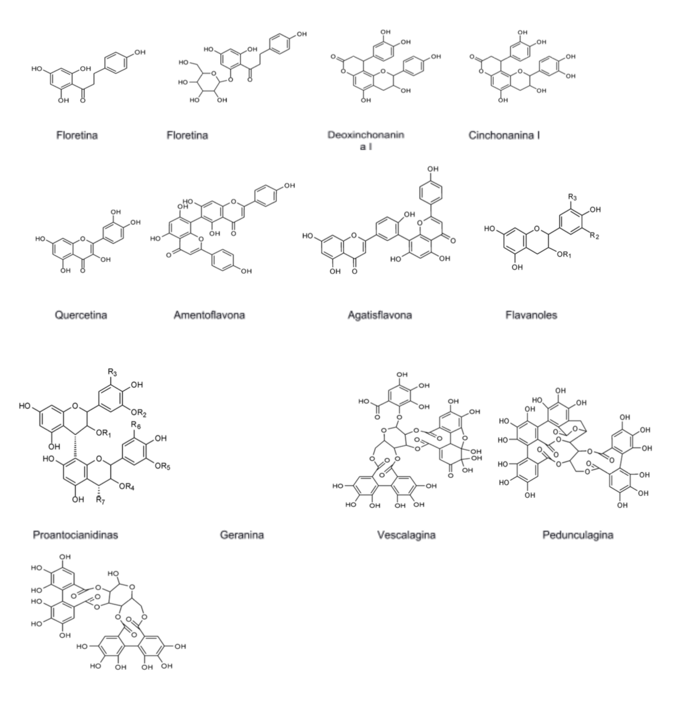 Estructura química base de principales compuestos bioactivos en el fruto de Psidium friedrichsthalianum.