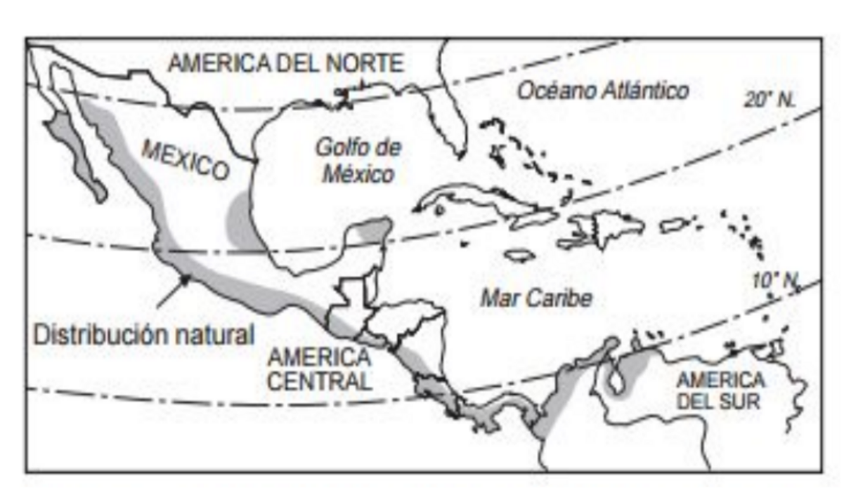 Distribución geográfica del guamúchil